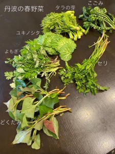 image0_3 image0_3.jpeg